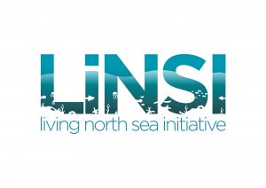 Logo_LiNSI